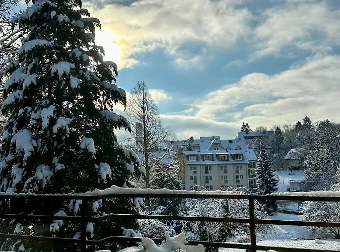 Ferienwohnung Bad Sachsa Harz II